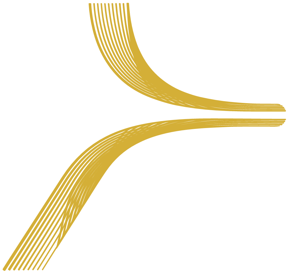 Consortes Soluções Digitais